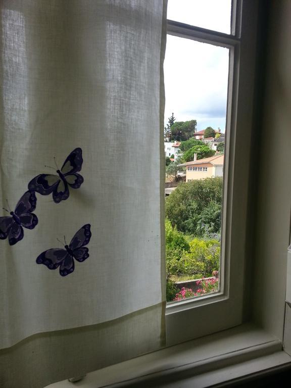 Csi Coimbra & Guest House - Student Accommodation Zimmer foto